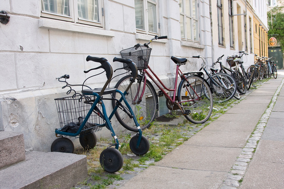 Danish Lifecycle